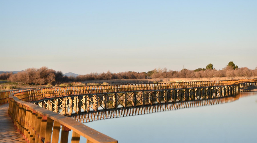 El gobierno castellanomanchego trabaja para obtener "un acuerdo histórico" en las Tablas de Daimiel