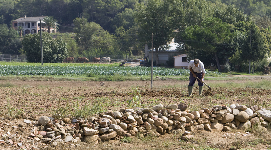 El 10 % de la población rural española ha nacido en el extranjero